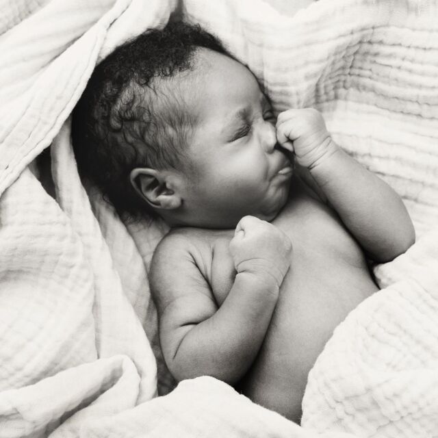 It takes so much to stay awake when your snuggled up all warm and cozy in our private studio. Clemy was  only 4 weeks old when they attended the studio for their first ever photography experience and won us over with their adorable little yawns and stretches. 💕